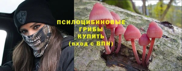 спайс Магадан