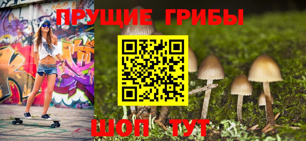 Галлюциногенные грибы Cubensis  Псилоцибиновые грибы ЛСД  Вход с VPN  Благовещенск 